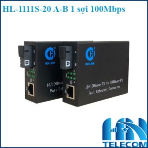 HOLINK HL-1111S-20 A-B 100m