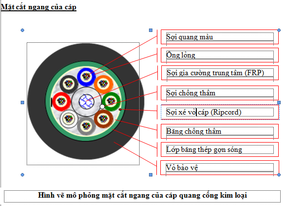 Cấu tạo cáp quang cống kim loại 12fo