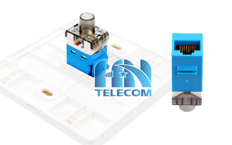 Cấu tạo Nhân mạng âm tường CAT6 AMP 1375055-6