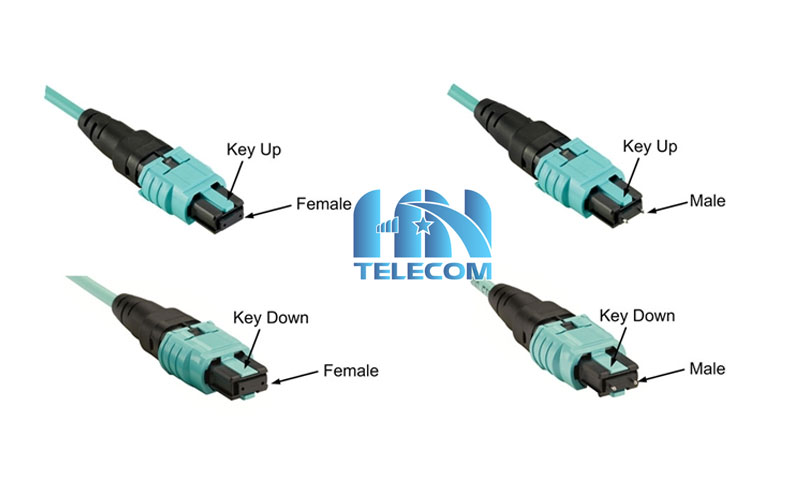 Các loại đầu nối MPO