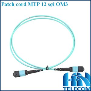 Dây nhảy quang MTP 12 sợi OM3 Multimode