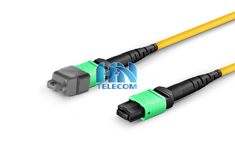 cáp trung kế MTP 12 sợi