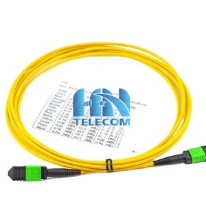 dây nhảy quang MTP 24 sợi OS2 Singlemode
