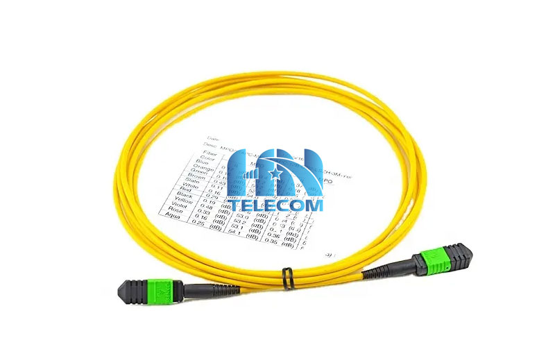 dây nhảy quang MTP 24 sợi OS2 Singlemode