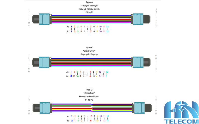 Phân cực MTP 24 sợi OM4