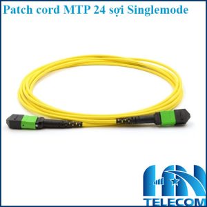 Dây nhảy quang MTP 24 sợi OS2 Singlemode