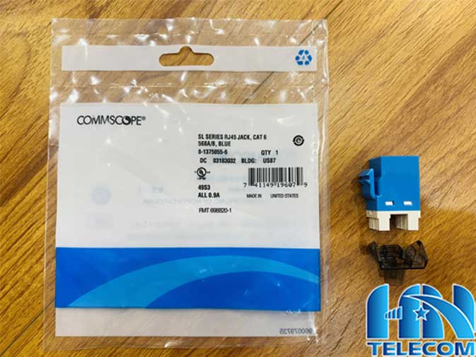 Nhân mạng âm tường cat6 commscope