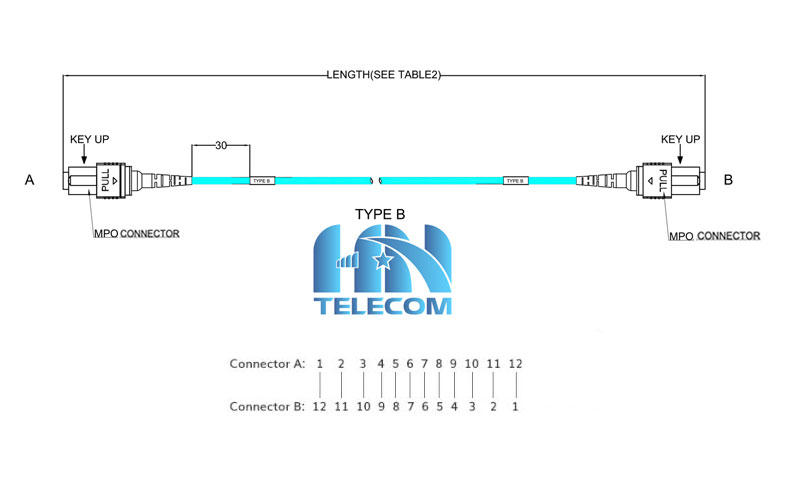 Dây nhảy quang MPO Type B