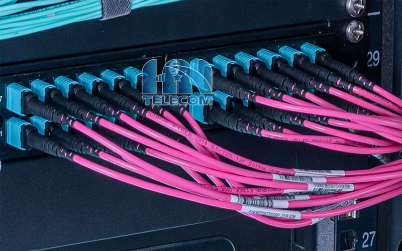 Dây nhảy quang MPO