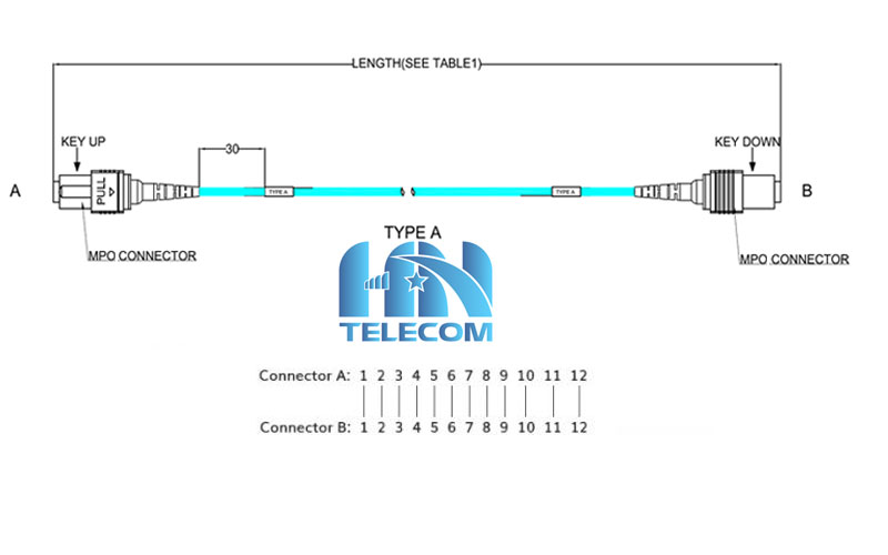 Dây nhảy quang MPO TYPE A