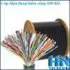 Cáp điện thoại 100 đôi luồn cống Z43