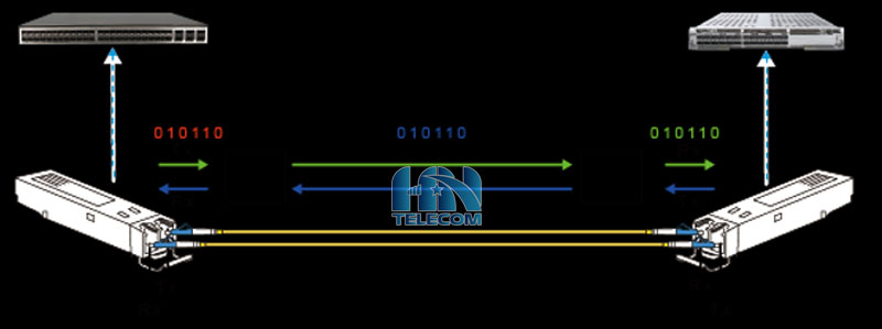 các chỉ số đo hiệu suất module quang