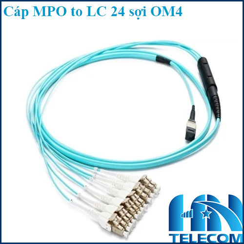 Dây nhảy quang MPO to LC 24 sợi OM4