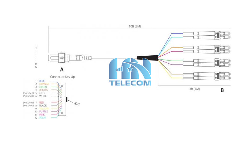 Phân cực của dây nhảy MPO to LC 8 sợi OM3