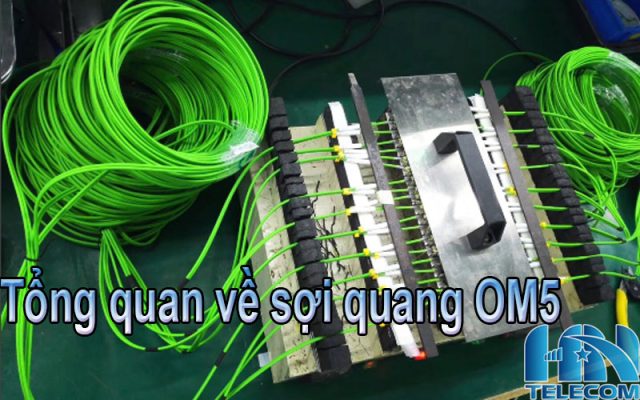 Tổng quan về sợi quang multimode OM5