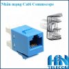 Nhân mạng module jack cat6