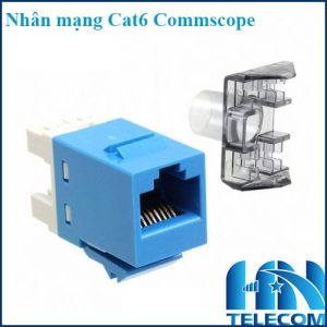 Nhân mạng module jack cat6