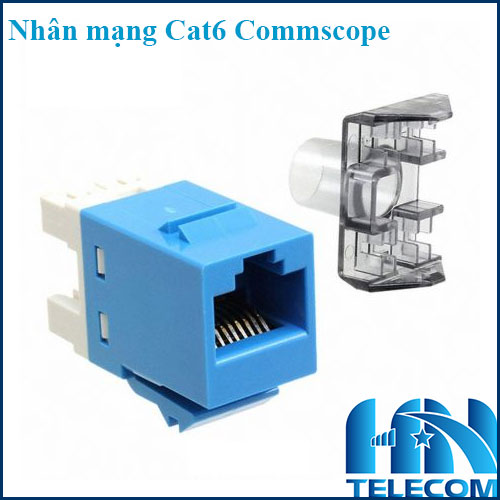 Nhân mạng module jack cat6
