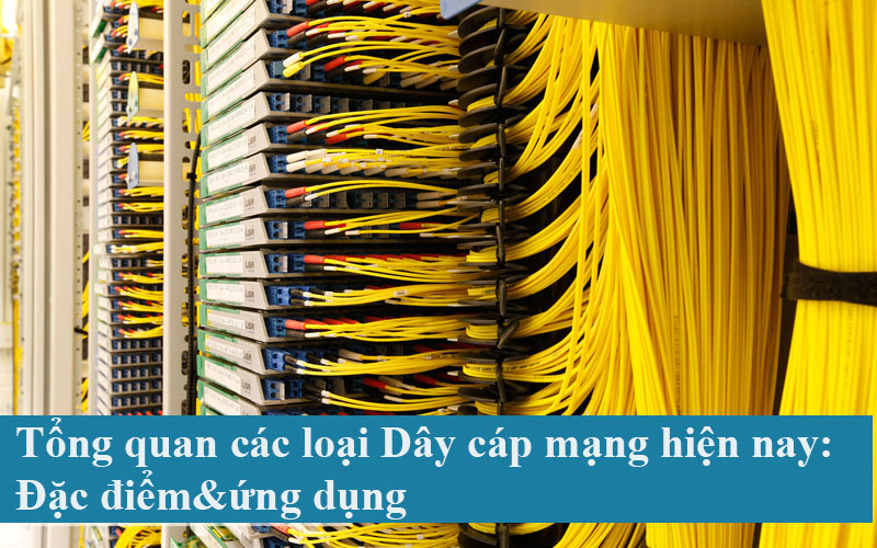 Tổng quan các loại Dây cáp mạng hiện nay: Đặc điểm&ứng dụng