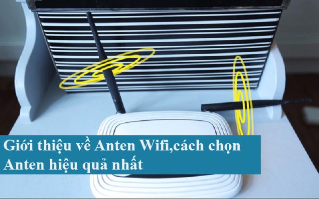 Giới thiệu về Anten Wifi, cách chọn Anten hiệu quả nhất