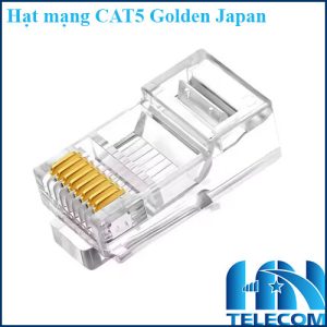 Hạt mạng CAT5 Golden Japan
