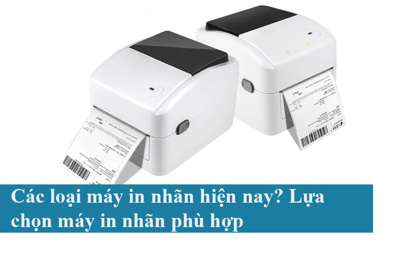 Các loại máy in nhãn hiện nay? Lựa chọn máy in nhãn phù hợp