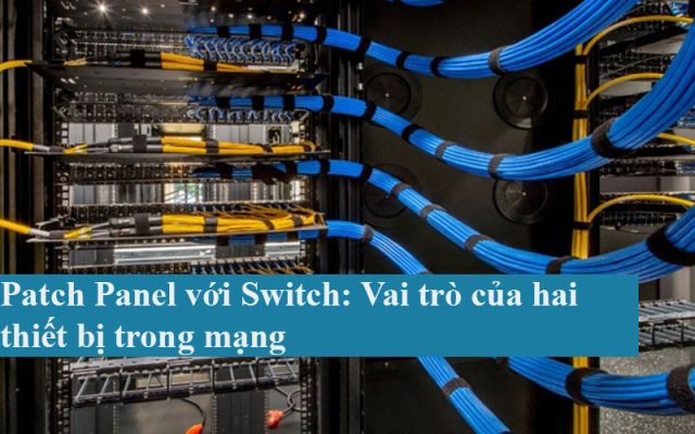 Patch Panel với Switch: Vai trò của hai thiết bị trong mạng