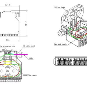 Đặc điểm chi tiết