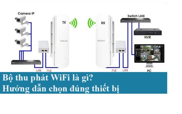 Bộ thu phát WiFi là gì? Hướng dẫn chọn đúng thiết bị
