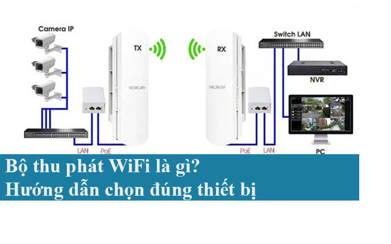 Bộ thu phát WiFi là gì? Hướng dẫn chọn đúng thiết bị