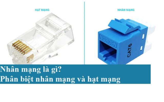 Nhân mạng là gì? Phân biệt nhân mạng và hạt mạng