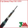 Cáp Quang Cống Kim Loại 12Fo Singlemode – Giải Pháp Truyền Dẫn Ổn Định