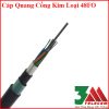 Cáp Quang Cống Kim Loại 48Fo Singlemode – Giải Pháp Truyền Dẫn Ổn Định