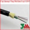 Cáp quang cống phi kim loại 12FO chính hãng