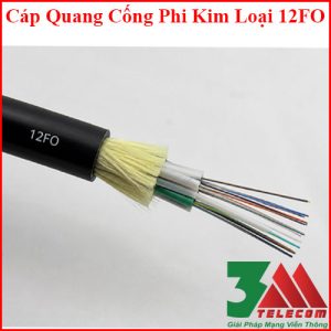 Cáp quang cống phi kim loại 12FO chính hãng