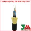 Cáp quang cống kim phi loại 2FO chính hãng