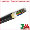 Cáp quang cống phi kim loại 36FO chính hãng