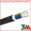 Cáp quang công phi kim loại 8fo chính hãng