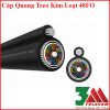 Cáp Quang Treo Kim Loại 48Fo Singlemode Chính Hãng