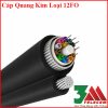 Cáp Quang Treo Kim Loại 12Fo Singlemode Chính Hãng