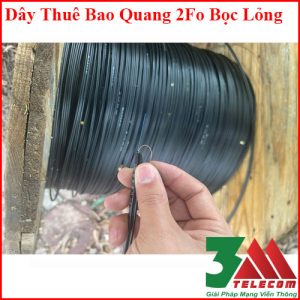 Dây Cáp Quang Thuê Bao 2Fo Bọc Lỏng Chính Hãng Vinacap, 3M, Postef